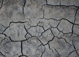 Czym smarować popękane pięty?