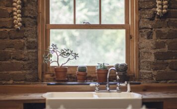 Czy czosnek zawiera kolagen?