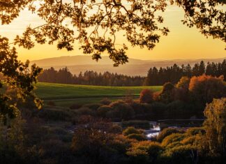 Czy można się opalać w cieniu?