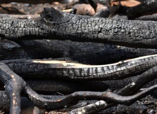 Po jakim czasie schodzi spalenizna?